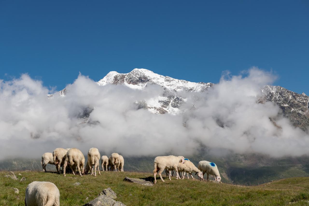 Natur-&Alpinhotel Post Vent Exterior foto